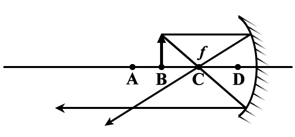 https://www.oatbooks.com/images/phy11-16.png